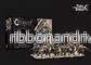 Conquest - Nords: Raiders - EN - Bild 3