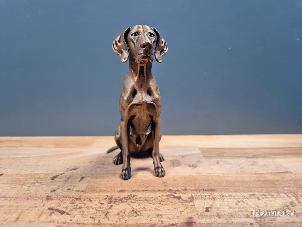 Korthårig Vorsteh - Hundfigur - Bild 3