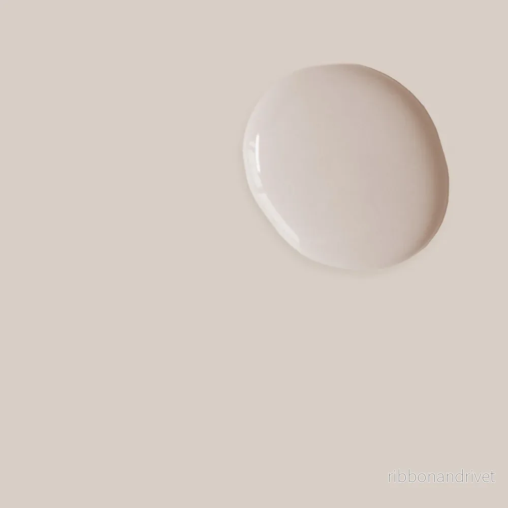 Pointe Silk Satin Paint Pointe Silk Satin Paint