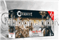 Conquest - Spires: First Blood Warband - EN - Bild 2