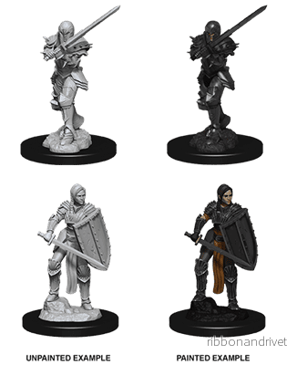 D&D Nolzur's Marvelous Miniatures - Female Human Fighter