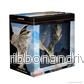 D&D Icons of the Realms: Premiumfigur av Vuxen Vit Drake - Bild 3