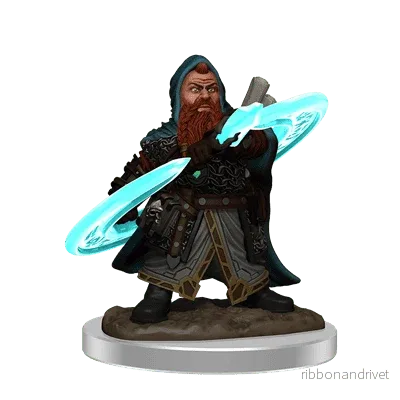 Pathfinder Painted Premium: Male Dwarf Sorcerer - Bild 2