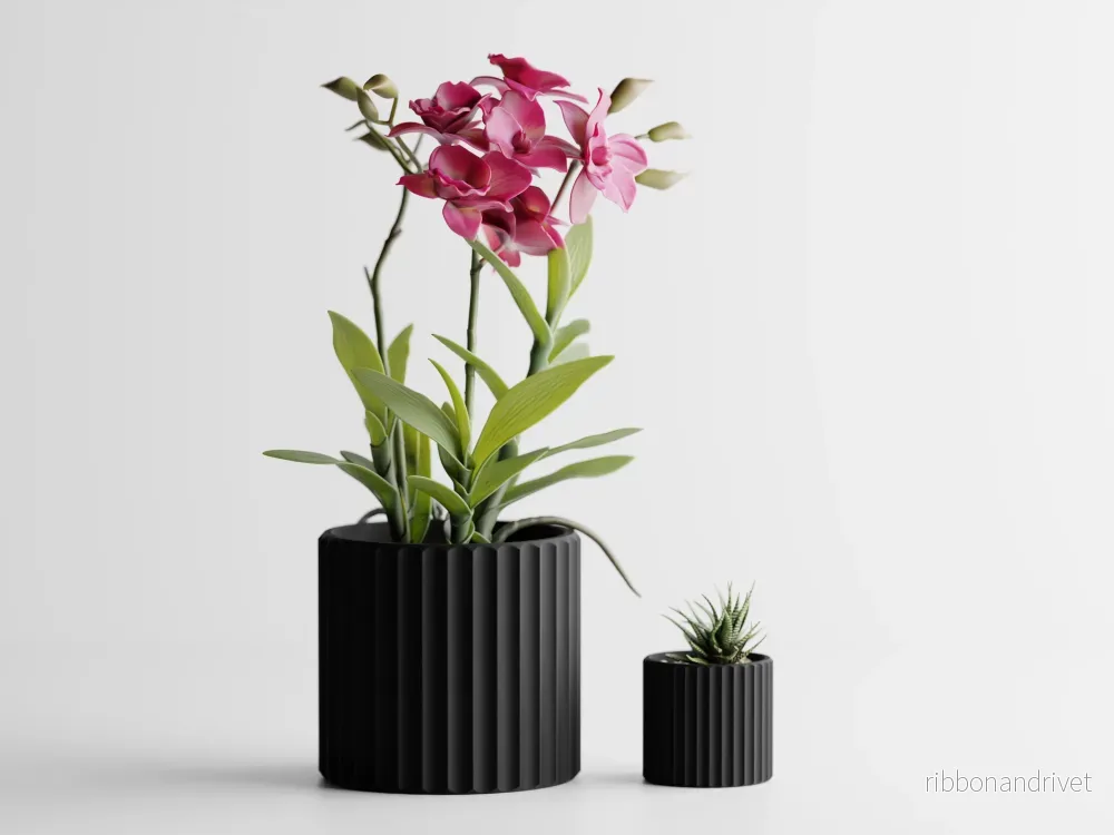 Muris Blomkruka