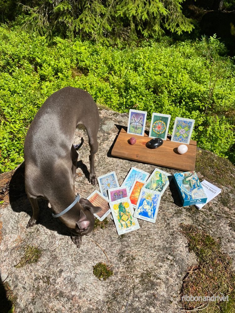 Thoth Tarot (på svenska) - Bild 2