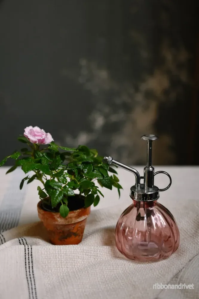 Charmig Rosa Sprayflaska