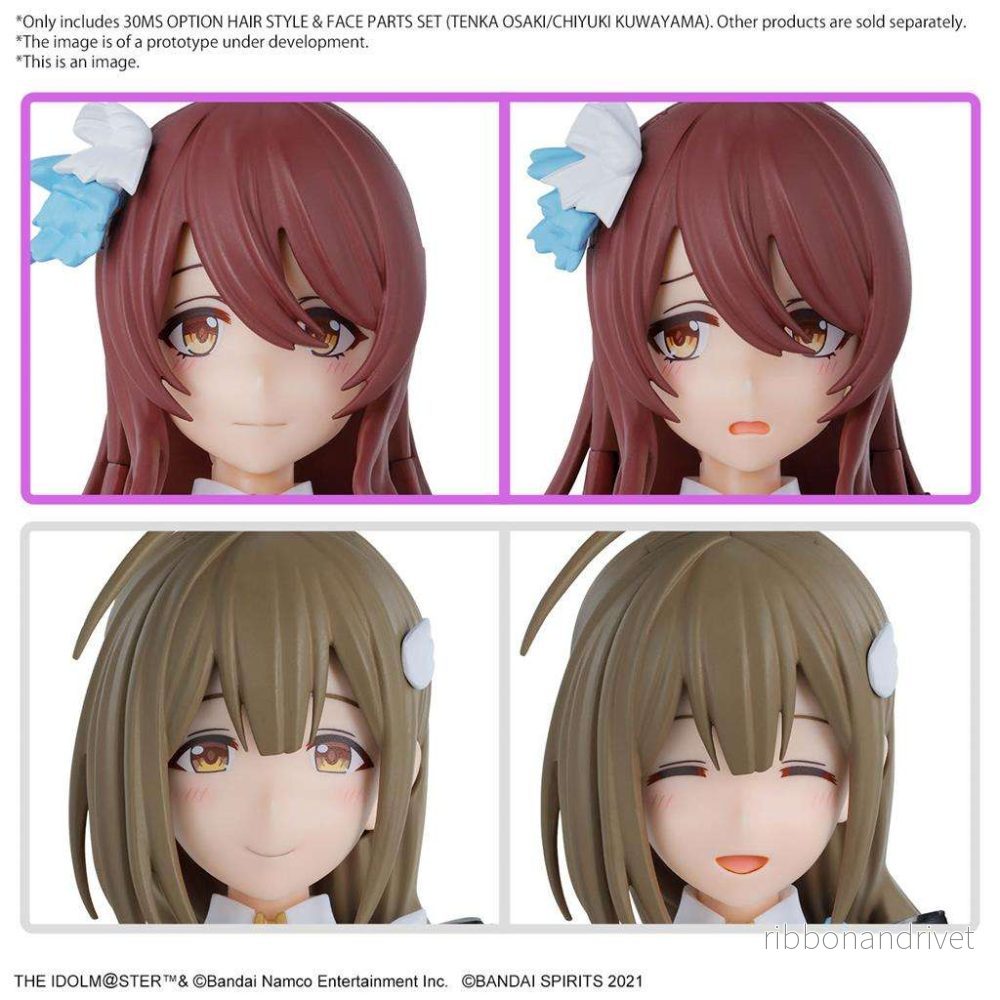 30MS OPTION HAIR STYLE & FACE PARTS SET 30MS OPTION HAIR STYLE & FACE PARTS SET