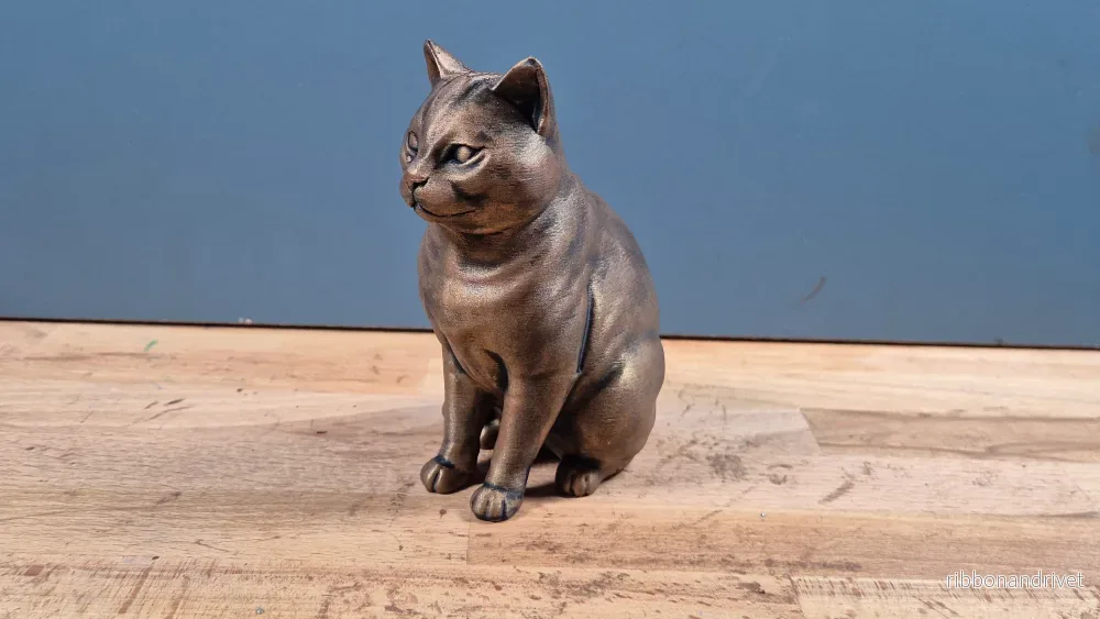 Amerikansk korthår - Kattfigur - Bild 3