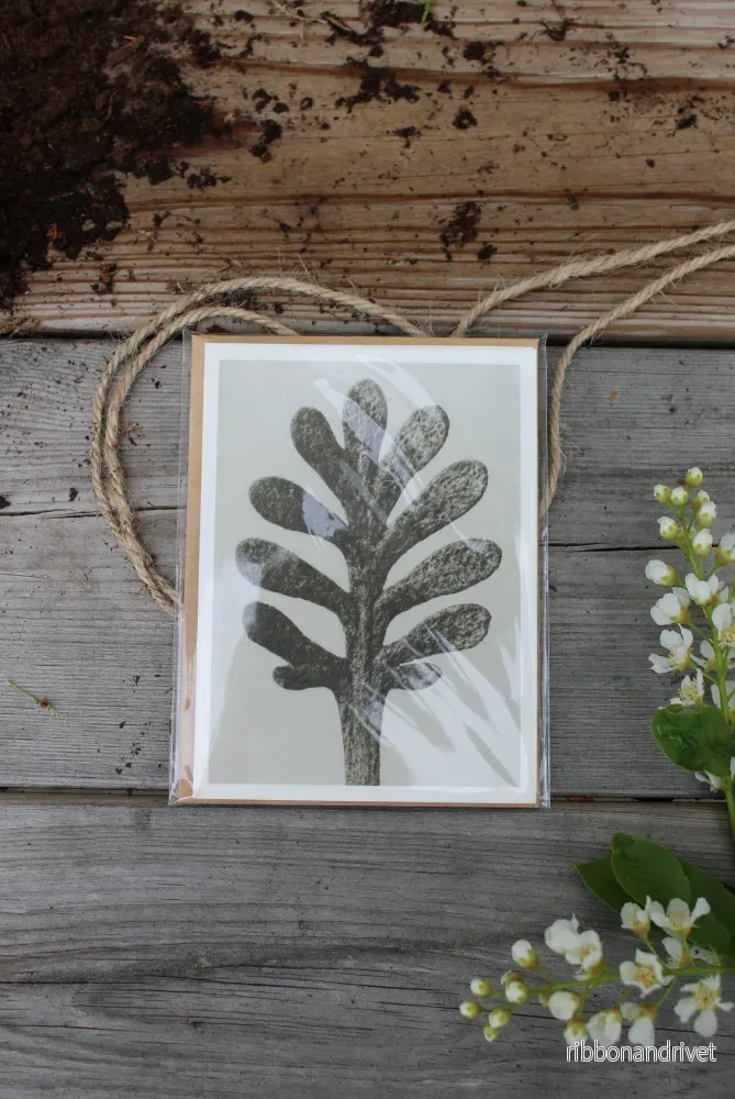 Dubbla kort med motiv av Karl Blossfeldt - Achillea
