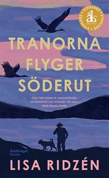 Tranorna flyger söderut