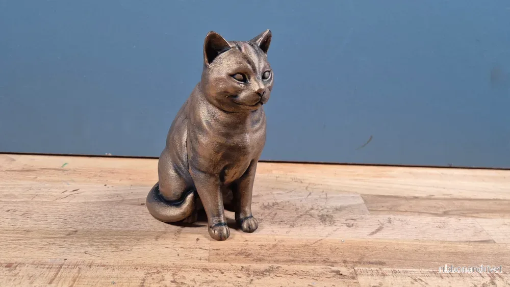 Amerikansk korthår - Kattfigur - Bild 2