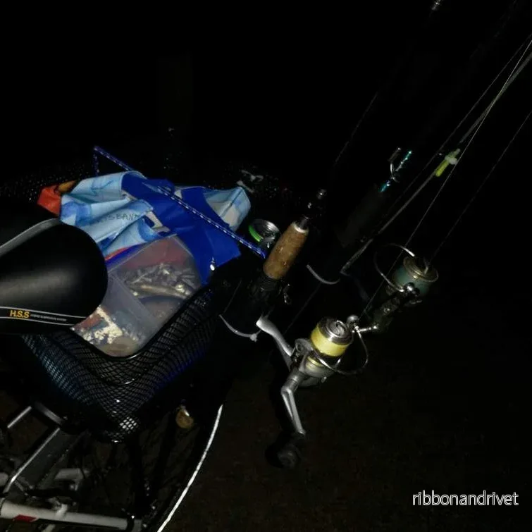 Cykelkorg fiskespö hållare för camping och cykelturer - Bild 2
