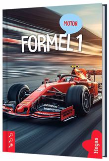 Formel 1 Formel 1