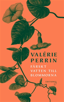 Färskt vatten till blommorna Färskt vatten till blommorna