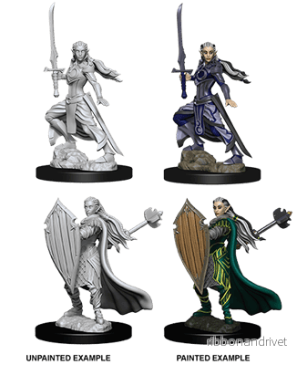 D&D Nolzur's Marvelous Miniatures - Female Elf Paladin