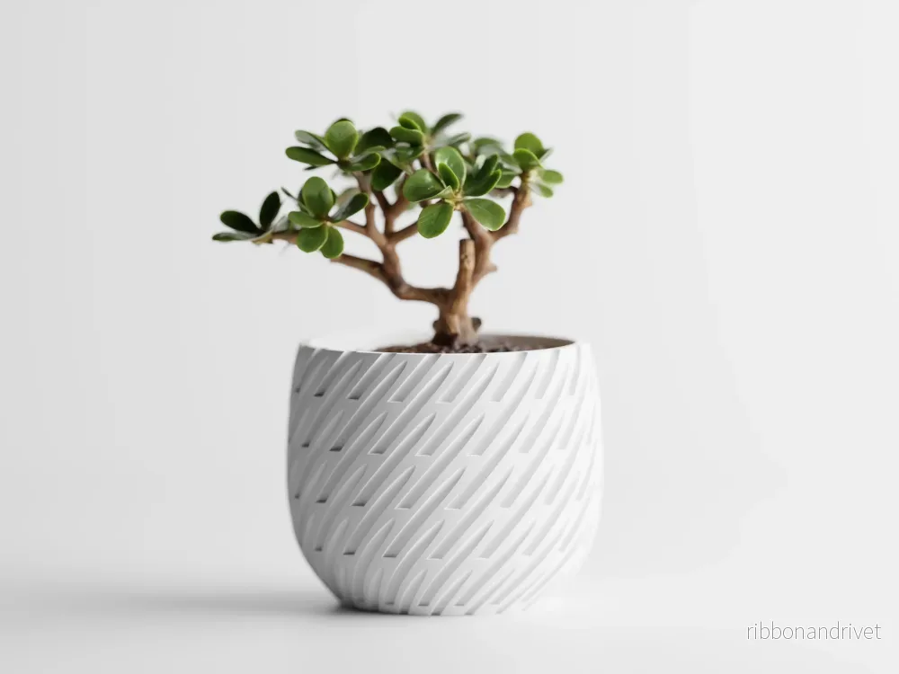 Lioren Blomkruka - Bild 2