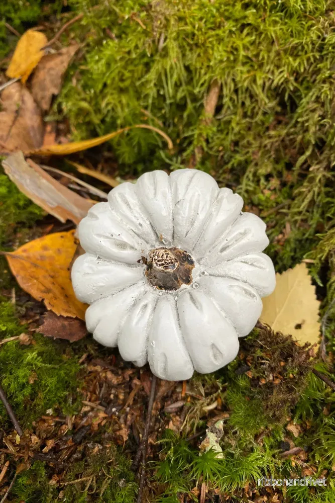 Pumpa på stick - Bild 2