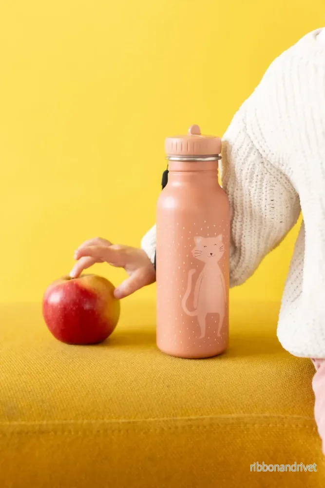 Vattenflaska i rostfritt stål 500 ml – Mrs Cat - Bild 2