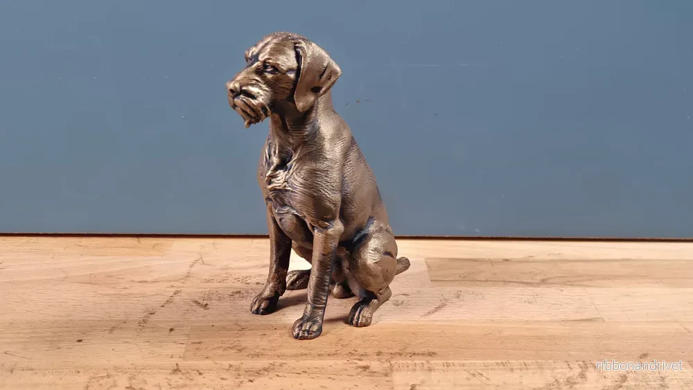 Strävhårig Vorsteh - Hundfigur - Bild 2
