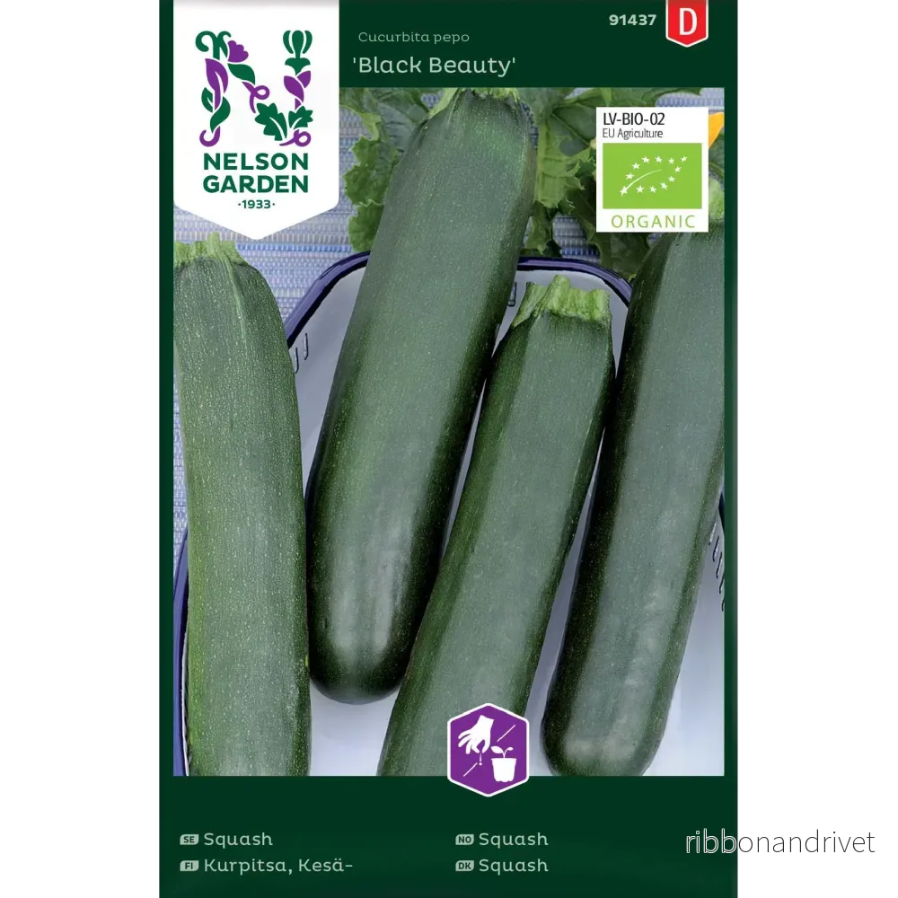 Squash Black Beauty Squash Black Beauty