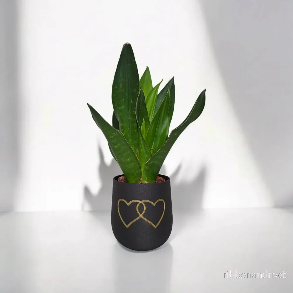 Modern rund blomkruka med två hjärtan Modern rund blomkruka med två hjärtan