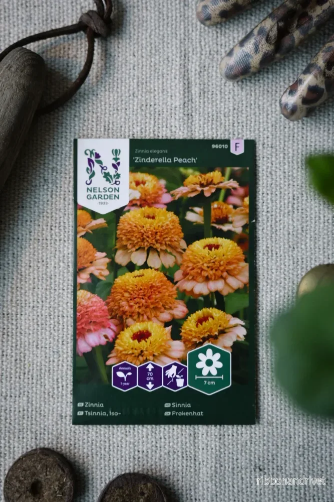 Zinnia Zinderella Peach Zinnia Zinderella Peach