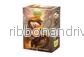 Dragon Shield Standard Dual Art Fickor - Eldhäst 2026 (100 Fickor) - Bild 2