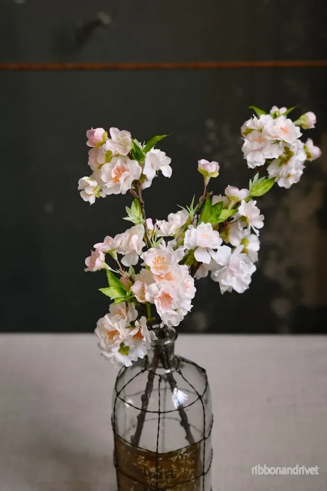 Körsbärsblom ljusrosa