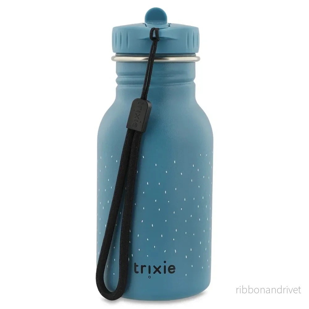 Vattenflaska i rostfritt stål 350 ml – Mr Triceratops - Bild 2