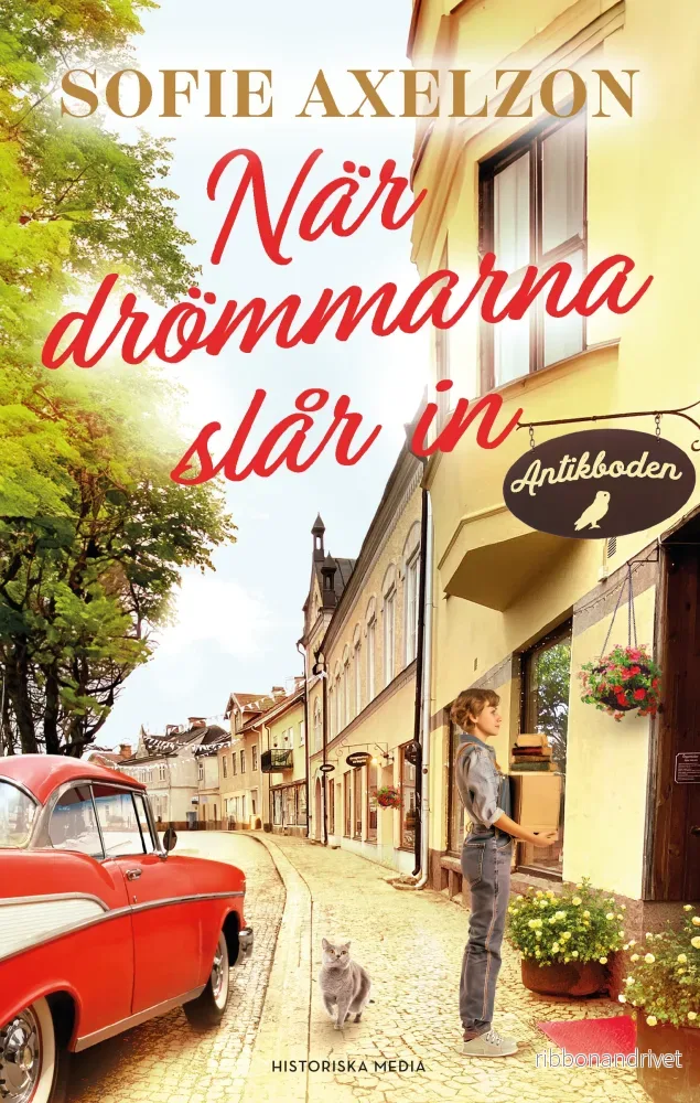 När drömmarna slår in