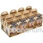 Pathfinder Battles: The Mwangi Expanse - 8 ct. Brick (Set 21)