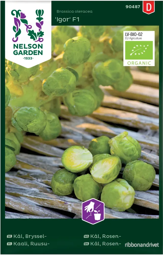 Brysselkål, Igor F1 Organic