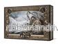 A Song Of Ice And Fire - Frozen Shore Hunters - EN - Bild 2