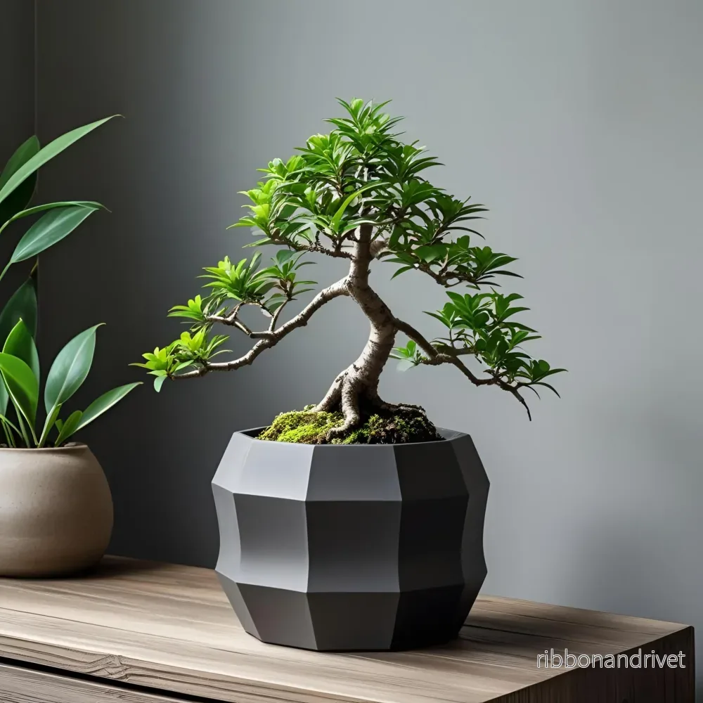 Modern dekagonal blomkruka i minimalistisk design