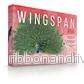 Wingspan Asia - Expansion för Fågelskådande Spel - Bild 2