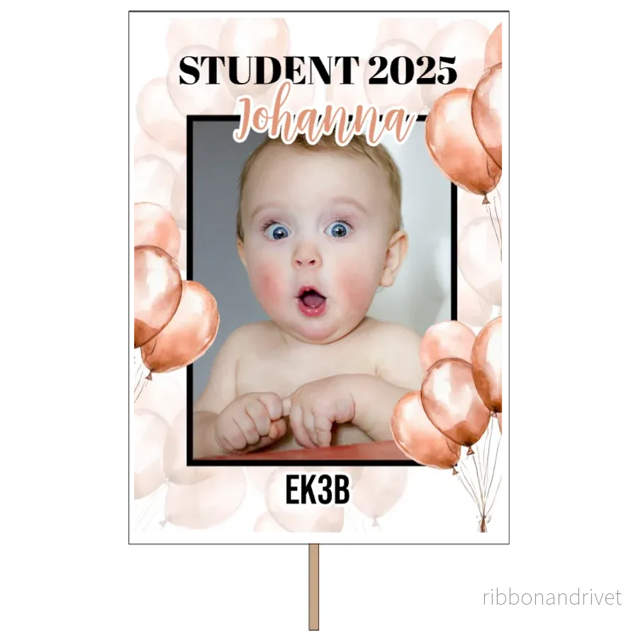 Roséballonger | Studentplakat