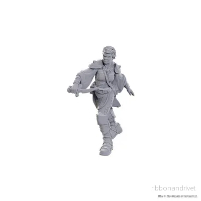 D&D Nolzur's Marvelous Miniatures: Swashbuckler