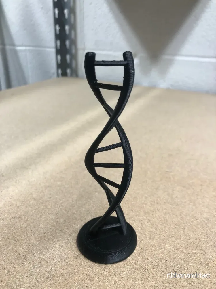 Double Helix DNA Double Helix DNA