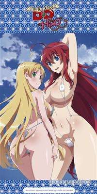 Highschool DXD Hero Strandhandduk – Rias och Asia 160x80cm Highschool DXD Hero Strandhandduk – Rias och Asia 160x80cm