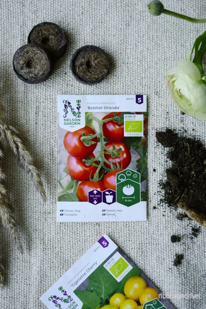 Tomat, Bolstar Granda Organic - Bild 2