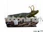 Alligator Loki - Loki - Art Scale 1/10 - Bild 3