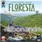 Floresta: Strategiskt Brädspel om Skogsförvaltning - Bild 2