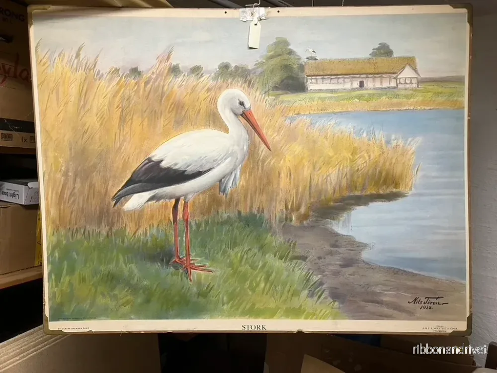 Skolaffisch stork Skolaffisch stork