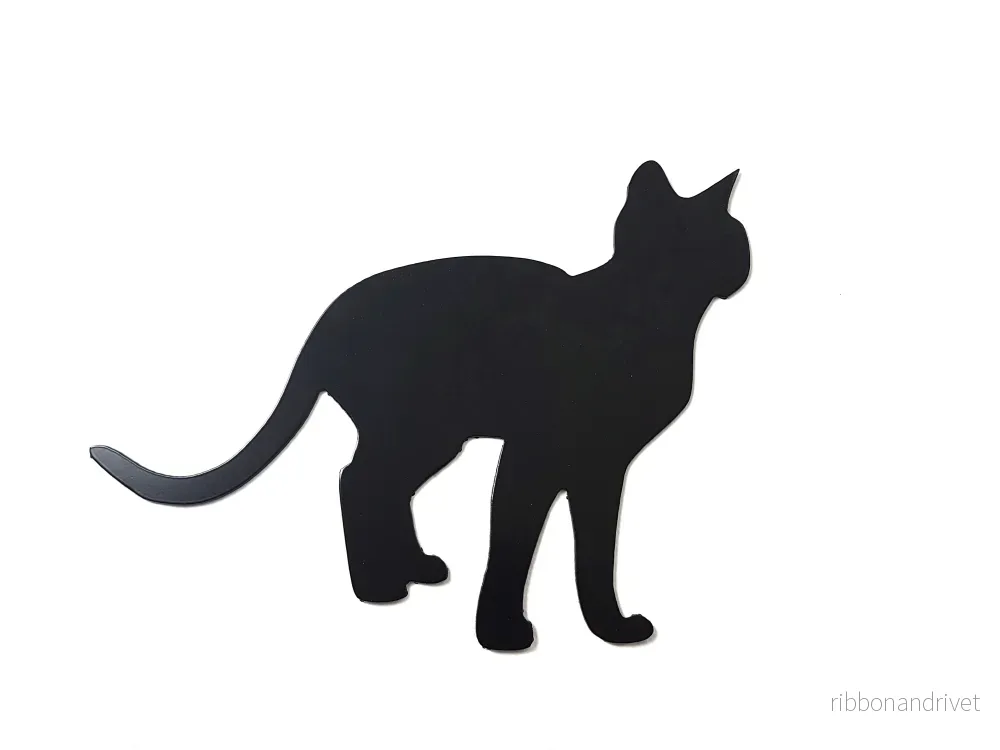 Motiv - Katten - Bild 2