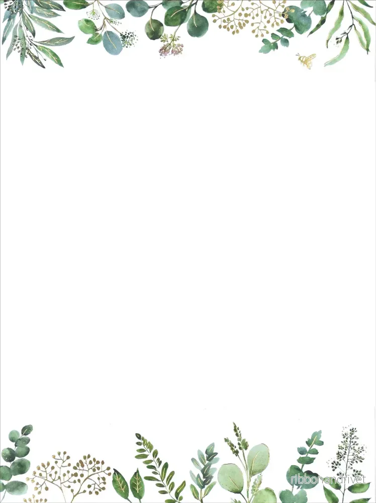 Brevpappersset i box - Eucalyptus (Peter Pauper Press) - Bild 2