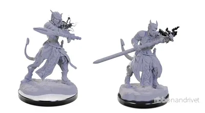 D&D Nolzur's Marvelous Miniatures: Tiefling Warlocks - Bild 2