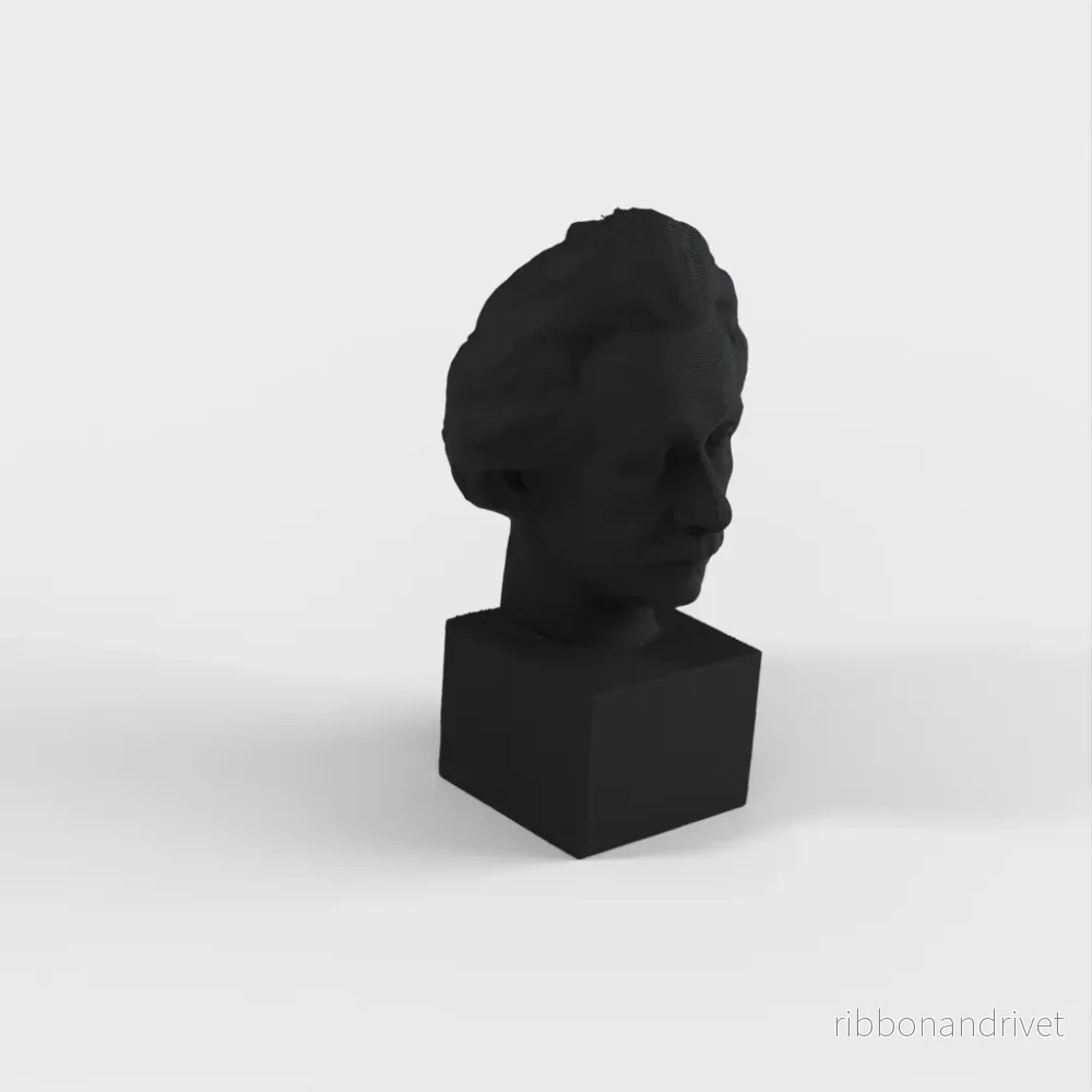 Einstein byst - Bild 3