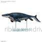 PLANNOSAURUS Mosasaurus Spel och Merchandise - Bild 3