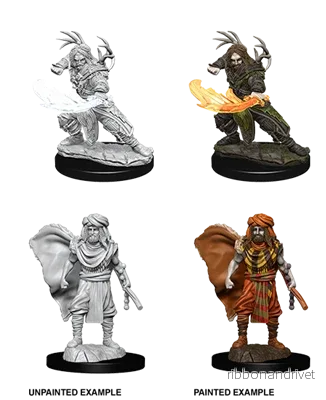 D&D Nolzur’s Marvelous Miniatures: Manlig Människa Druid