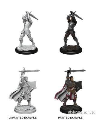 D&D Nolzur's Marvelous Miniatures - Manlig Mänsklig Paladin